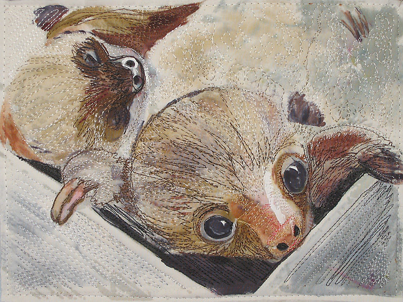 Caryl Gaubatz